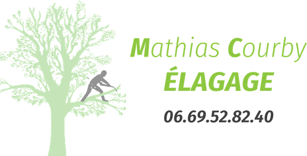 Mathias Courby Élagage