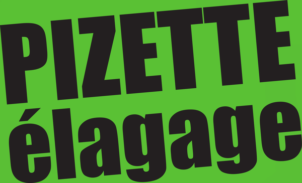 Pizette Élagage — Alexandre Pizette, tailles et soins aux arbres